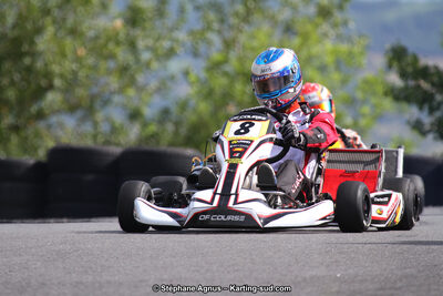 03 & 04/06/2017 : 4ème manche du Championnat du Sud à Belmont sur Rance (Photos Stéphane Agnus) 2017 — karting
