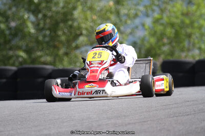 03 & 04/06/2017 : 4ème manche du Championnat du Sud à Belmont sur Rance (Photos Stéphane Agnus) 2017 — karting
