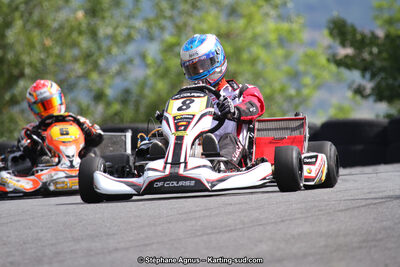 03 & 04/06/2017 : 4ème manche du Championnat du Sud à Belmont sur Rance (Photos Stéphane Agnus) 2017 — karting