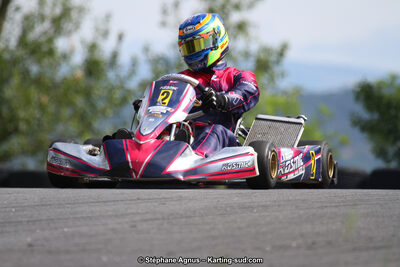 03 & 04/06/2017 : 4ème manche du Championnat du Sud à Belmont sur Rance (Photos Stéphane Agnus) 2017 — karting