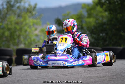 03 & 04/06/2017 : 4ème manche du Championnat du Sud à Belmont sur Rance (Photos Stéphane Agnus) 2017 — karting