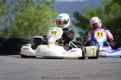 03 & 04/06/2017 : 4ème manche du Championnat du Sud à Belmont sur Rance (Photos Stéphane Agnus) 2017 — karting