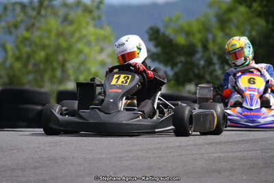 03 & 04/06/2017 : 4ème manche du Championnat du Sud à Belmont sur Rance (Photos Stéphane Agnus) 2017 — karting