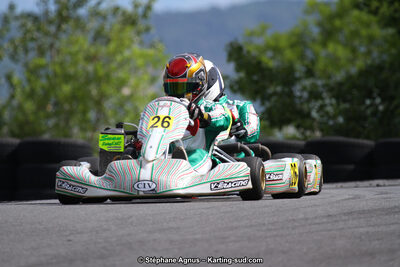 03 & 04/06/2017 : 4ème manche du Championnat du Sud à Belmont sur Rance (Photos Stéphane Agnus) 2017 — karting