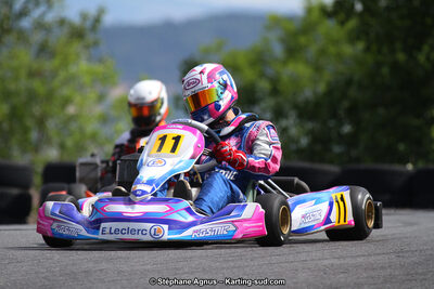 03 & 04/06/2017 : 4ème manche du Championnat du Sud à Belmont sur Rance (Photos Stéphane Agnus) 2017 — karting