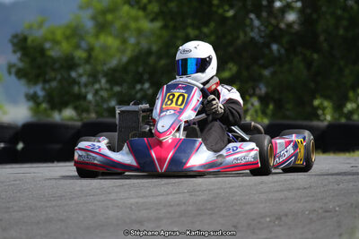 03 & 04/06/2017 : 4ème manche du Championnat du Sud à Belmont sur Rance (Photos Stéphane Agnus) 2017 — karting
