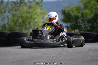 03 & 04/06/2017 : 4ème manche du Championnat du Sud à Belmont sur Rance (Photos Stéphane Agnus) 2017 — karting