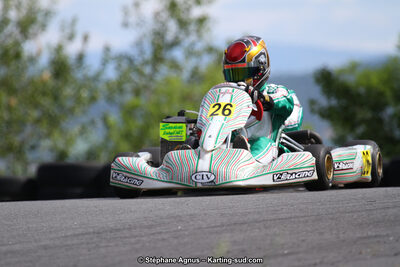 03 & 04/06/2017 : 4ème manche du Championnat du Sud à Belmont sur Rance (Photos Stéphane Agnus) 2017 — karting