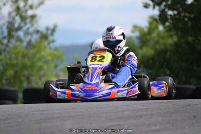 03 & 04/06/2017 : 4ème manche du Championnat du Sud à Belmont sur Rance (Photos Stéphane Agnus) 2017 — karting