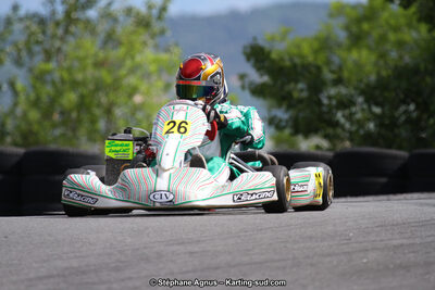 03 & 04/06/2017 : 4ème manche du Championnat du Sud à Belmont sur Rance (Photos Stéphane Agnus) 2017 — karting
