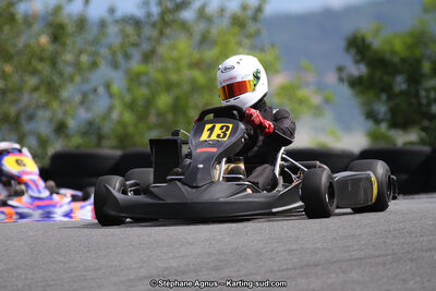 03 & 04/06/2017 : 4ème manche du Championnat du Sud à Belmont sur Rance (Photos Stéphane Agnus) 2017 — karting