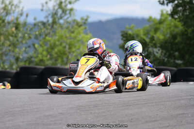 03 & 04/06/2017 : 4ème manche du Championnat du Sud à Belmont sur Rance (Photos Stéphane Agnus) 2017 — karting