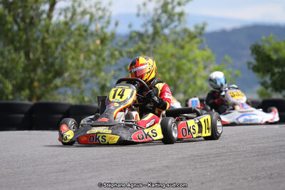 03 & 04/06/2017 : 4ème manche du Championnat du Sud à Belmont sur Rance (Photos Stéphane Agnus) 2017 — karting