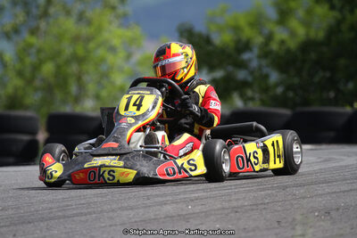 03 & 04/06/2017 : 4ème manche du Championnat du Sud à Belmont sur Rance (Photos Stéphane Agnus) 2017 — karting