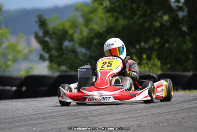 03 & 04/06/2017 : 4ème manche du Championnat du Sud à Belmont sur Rance (Photos Stéphane Agnus) 2017 — karting