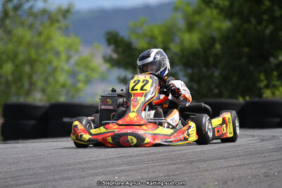 03 & 04/06/2017 : 4ème manche du Championnat du Sud à Belmont sur Rance (Photos Stéphane Agnus) 2017 — karting