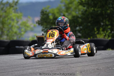 03 & 04/06/2017 : 4ème manche du Championnat du Sud à Belmont sur Rance (Photos Stéphane Agnus) 2017 — karting