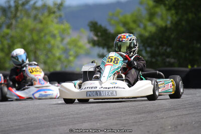03 & 04/06/2017 : 4ème manche du Championnat du Sud à Belmont sur Rance (Photos Stéphane Agnus) 2017 — karting