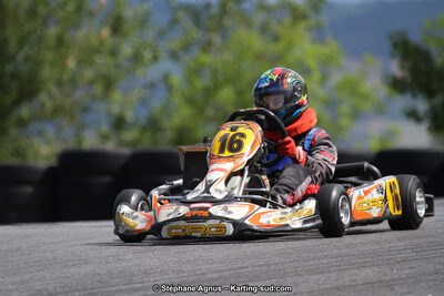 03 & 04/06/2017 : 4ème manche du Championnat du Sud à Belmont sur Rance (Photos Stéphane Agnus) 2017 — karting