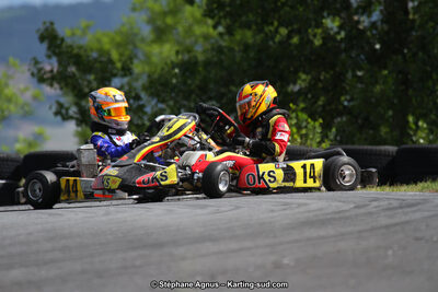 03 & 04/06/2017 : 4ème manche du Championnat du Sud à Belmont sur Rance (Photos Stéphane Agnus) 2017 — karting