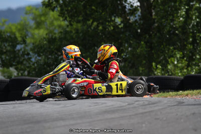 03 & 04/06/2017 : 4ème manche du Championnat du Sud à Belmont sur Rance (Photos Stéphane Agnus) 2017 — karting