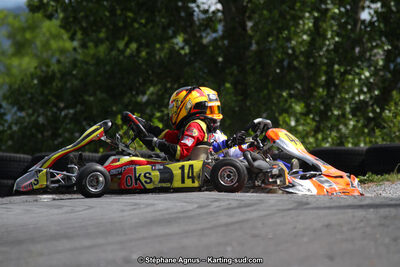 03 & 04/06/2017 : 4ème manche du Championnat du Sud à Belmont sur Rance (Photos Stéphane Agnus) 2017 — karting