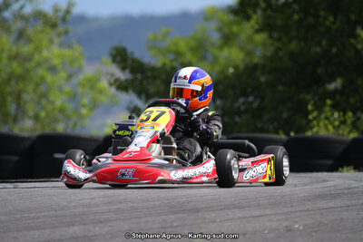03 & 04/06/2017 : 4ème manche du Championnat du Sud à Belmont sur Rance (Photos Stéphane Agnus) 2017 — karting