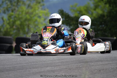 03 & 04/06/2017 : 4ème manche du Championnat du Sud à Belmont sur Rance (Photos Stéphane Agnus) 2017 — karting