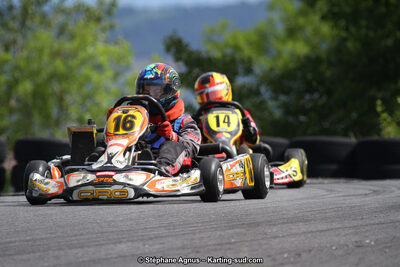 03 & 04/06/2017 : 4ème manche du Championnat du Sud à Belmont sur Rance (Photos Stéphane Agnus) 2017 — karting