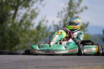 03 & 04/06/2017 : 4ème manche du Championnat du Sud à Belmont sur Rance (Photos Stéphane Agnus) 2017 — karting