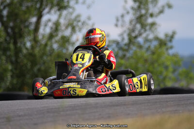 03 & 04/06/2017 : 4ème manche du Championnat du Sud à Belmont sur Rance (Photos Stéphane Agnus) 2017 — karting