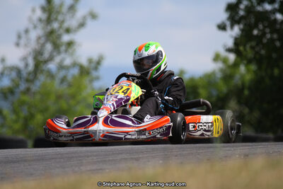 03 & 04/06/2017 : 4ème manche du Championnat du Sud à Belmont sur Rance (Photos Stéphane Agnus) 2017 — karting