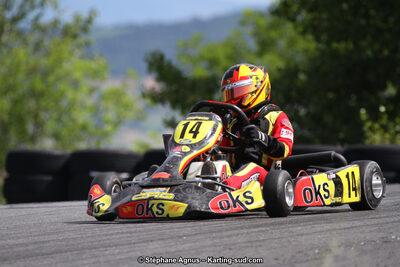 03 & 04/06/2017 : 4ème manche du Championnat du Sud à Belmont sur Rance (Photos Stéphane Agnus) 2017 — karting