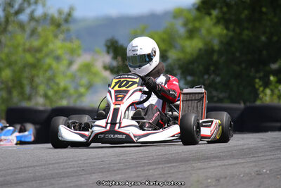 03 & 04/06/2017 : 4ème manche du Championnat du Sud à Belmont sur Rance (Photos Stéphane Agnus) 2017 — karting
