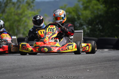 03 & 04/06/2017 : 4ème manche du Championnat du Sud à Belmont sur Rance (Photos Stéphane Agnus) 2017 — karting