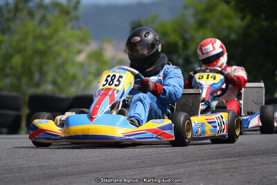 03 & 04/06/2017 : 4ème manche du Championnat du Sud à Belmont sur Rance (Photos Stéphane Agnus) 2017 — karting