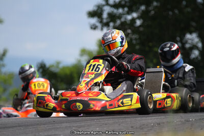 03 & 04/06/2017 : 4ème manche du Championnat du Sud à Belmont sur Rance (Photos Stéphane Agnus) 2017 — karting