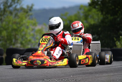 03 & 04/06/2017 : 4ème manche du Championnat du Sud à Belmont sur Rance (Photos Stéphane Agnus) 2017 — karting