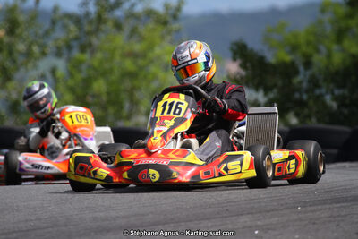 03 & 04/06/2017 : 4ème manche du Championnat du Sud à Belmont sur Rance (Photos Stéphane Agnus) 2017 — karting