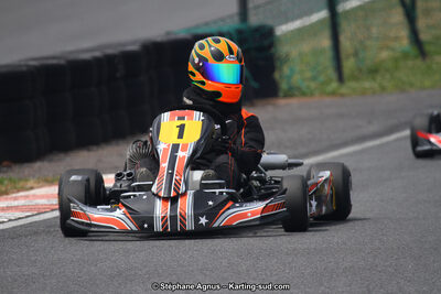 03 & 04/06/2017 : 4ème manche du Championnat du Sud à Belmont sur Rance (Photos Stéphane Agnus) 2017 — karting