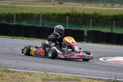 03 & 04/06/2017 : 4ème manche du Championnat du Sud à Belmont sur Rance (Photos Stéphane Agnus) 2017 — karting