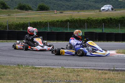 03 & 04/06/2017 : 4ème manche du Championnat du Sud à Belmont sur Rance (Photos Stéphane Agnus) 2017 — karting