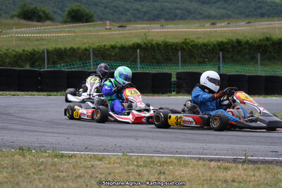 03 & 04/06/2017 : 4ème manche du Championnat du Sud à Belmont sur Rance (Photos Stéphane Agnus) 2017 — karting