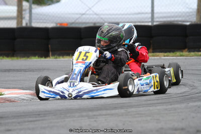 03 & 04/06/2017 : 4ème manche du Championnat du Sud à Belmont sur Rance (Photos Stéphane Agnus) 2017 — karting