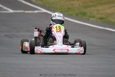 03 & 04/06/2017 : 4ème manche du Championnat du Sud à Belmont sur Rance (Photos Stéphane Agnus) 2017 — karting
