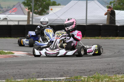 03 & 04/06/2017 : 4ème manche du Championnat du Sud à Belmont sur Rance (Photos Stéphane Agnus) 2017 — karting