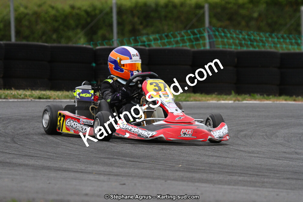 03 & 04/06/2017 : 4ème manche du Championnat du Sud à Belmont sur Rance (Photos Stéphane Agnus) 2017 — karting