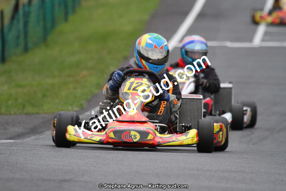 03 & 04/06/2017 : 4ème manche du Championnat du Sud à Belmont sur Rance (Photos Stéphane Agnus) 2017 — karting