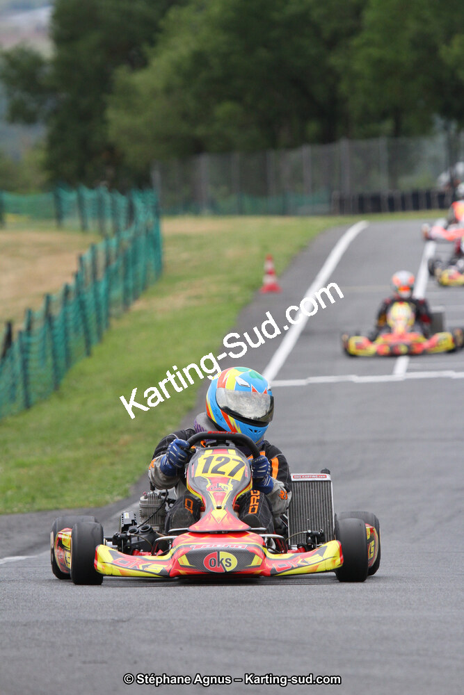 03 & 04/06/2017 : 4ème manche du Championnat du Sud à Belmont sur Rance (Photos Stéphane Agnus) 2017 — karting