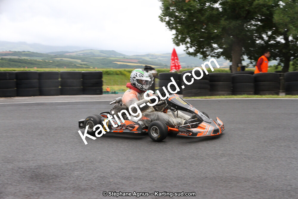 03 & 04/06/2017 : 4ème manche du Championnat du Sud à Belmont sur Rance (Photos Stéphane Agnus) 2017 — karting